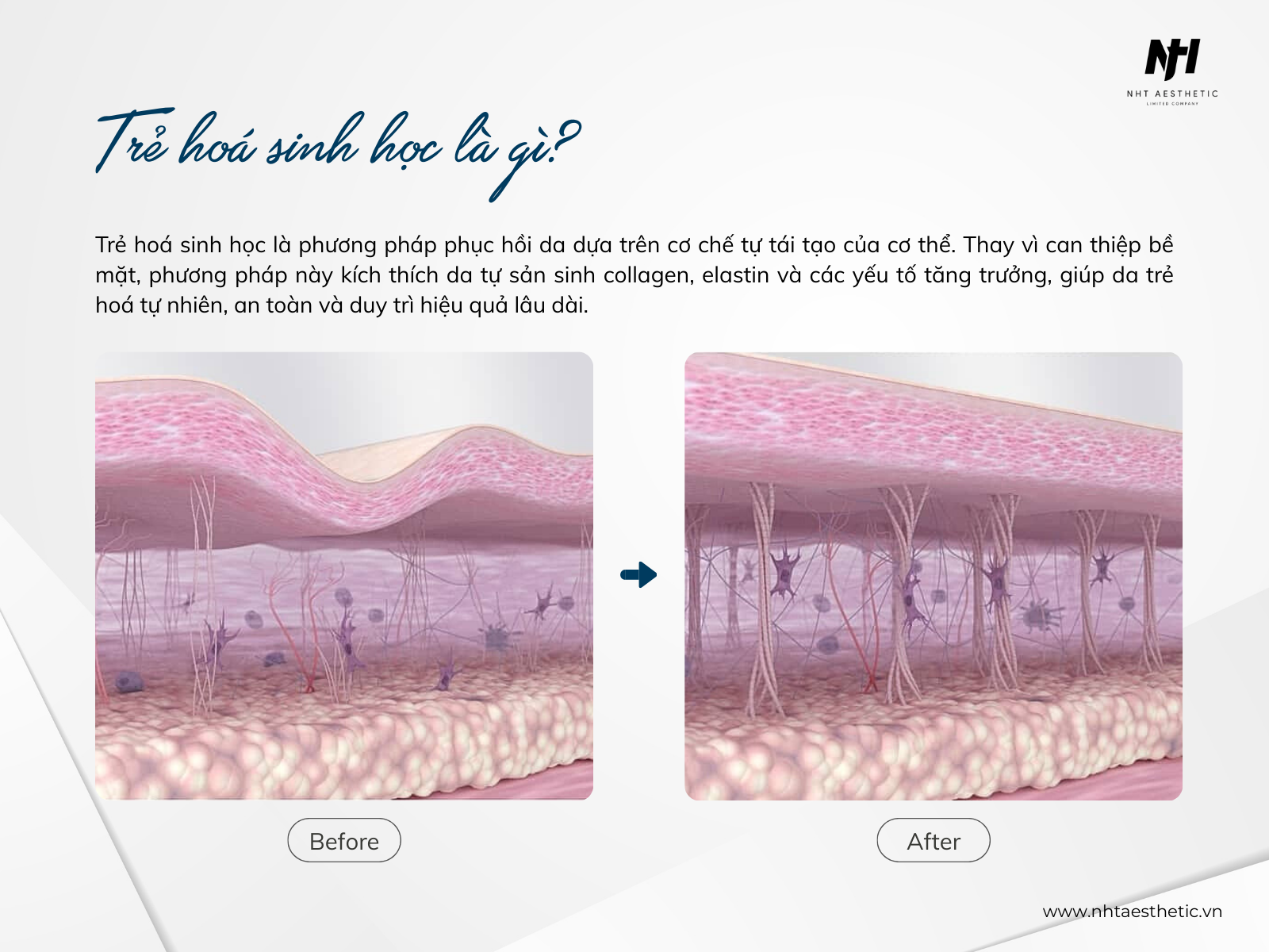 Trẻ hoá sinh học là gì?